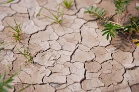 Atık, Atık Çamur ve Toprak Analizleri